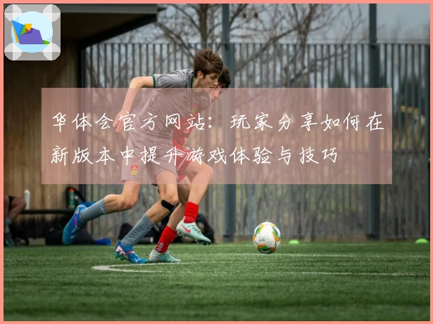 华体会官方网站：玩家分享如何在新版本中提升游戏体验与技巧